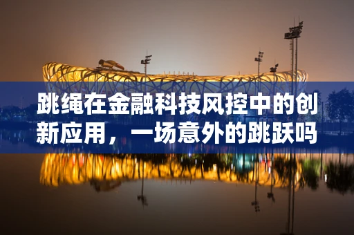 跳绳在金融科技风控中的创新应用，一场意外的跳跃吗？