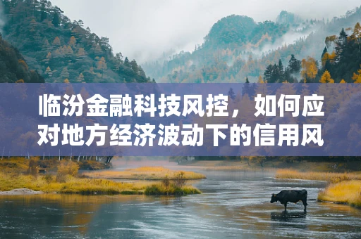临汾金融科技风控，如何应对地方经济波动下的信用风险？