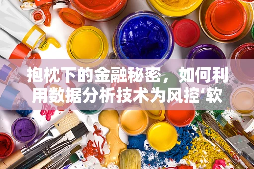 抱枕下的金融秘密，如何利用数据分析技术为风控‘软着陆’？