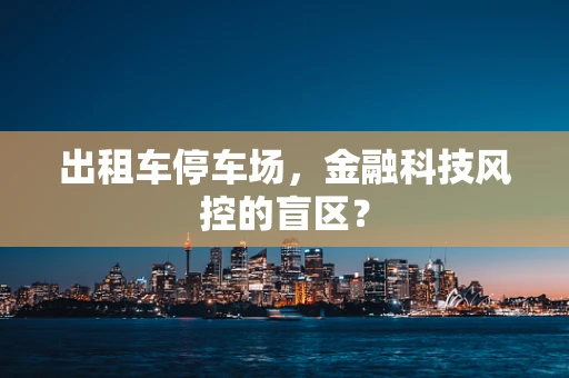 出租车停车场，金融科技风控的盲区？