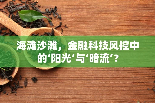 海滩沙滩，金融科技风控中的‘阳光’与‘暗流’？