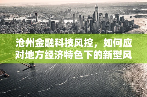沧州金融科技风控，如何应对地方经济特色下的新型风险？