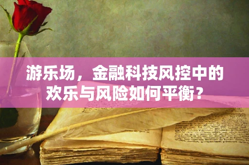 游乐场，金融科技风控中的欢乐与风险如何平衡？
