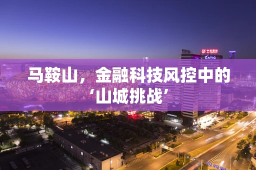 马鞍山，金融科技风控中的‘山城挑战’