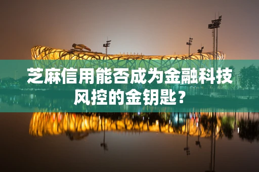 芝麻信用能否成为金融科技风控的金钥匙？