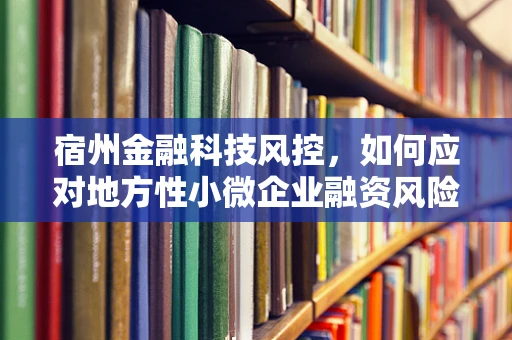宿州金融科技风控，如何应对地方性小微企业融资风险？