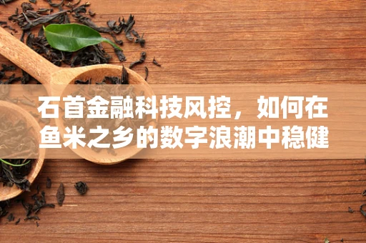 石首金融科技风控，如何在鱼米之乡的数字浪潮中稳健前行？