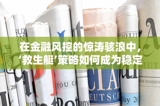 在金融风控的惊涛骇浪中，‘救生艇’策略如何成为稳定之舵？