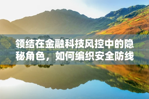 领结在金融科技风控中的隐秘角色，如何编织安全防线？