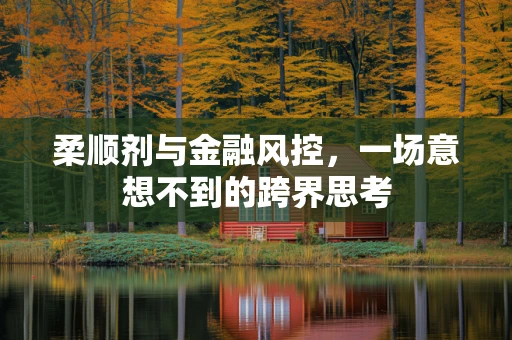 柔顺剂与金融风控，一场意想不到的跨界思考