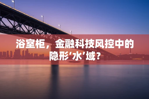 浴室柜，金融科技风控中的隐形‘水’域？