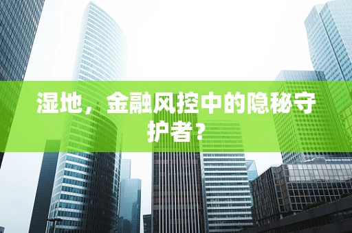 湿地，金融风控中的隐秘守护者？