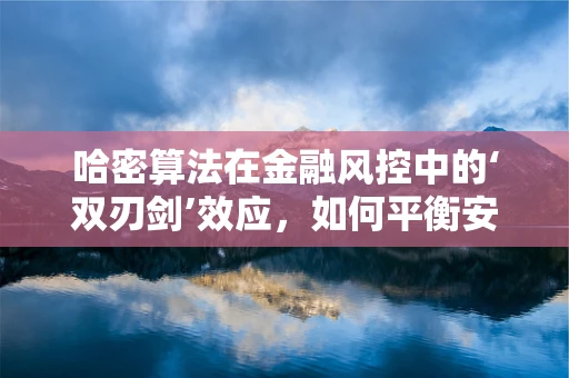 哈密算法在金融风控中的‘双刃剑’效应，如何平衡安全与效率？