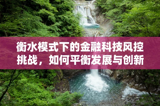 衡水模式下的金融科技风控挑战，如何平衡发展与创新风险？