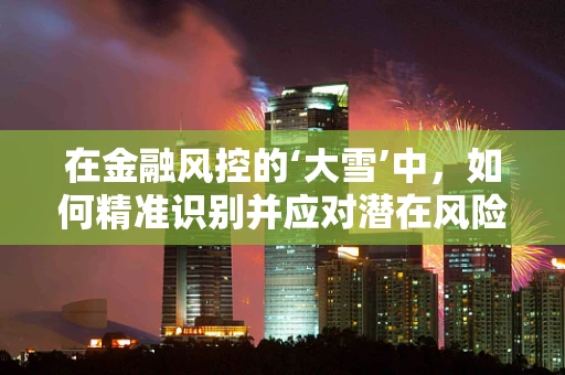 在金融风控的‘大雪’中，如何精准识别并应对潜在风险？