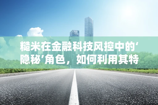糙米在金融科技风控中的‘隐秘’角色，如何利用其特性提升风险防控？