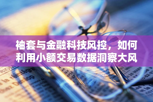 袖套与金融科技风控，如何利用小额交易数据洞察大风险？
