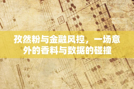 孜然粉与金融风控，一场意外的香料与数据的碰撞