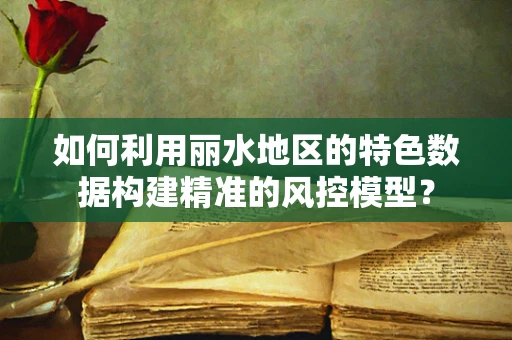 如何利用丽水地区的特色数据构建精准的风控模型？
