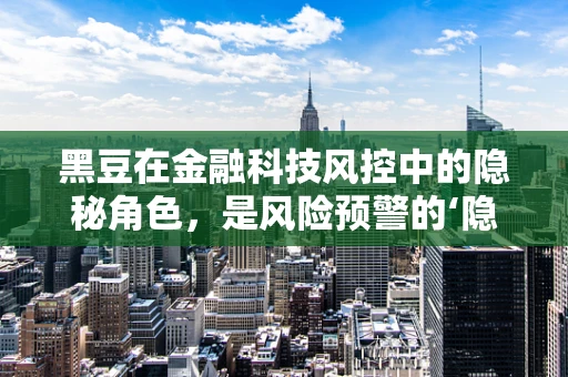 黑豆在金融科技风控中的隐秘角色，是风险预警的‘隐形卫士’吗？