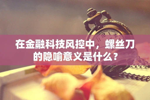 在金融科技风控中，螺丝刀的隐喻意义是什么？