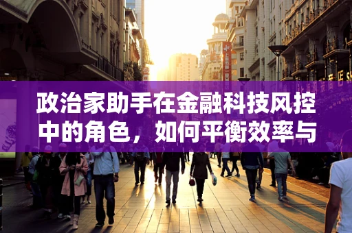 政治家助手在金融科技风控中的角色，如何平衡效率与安全？