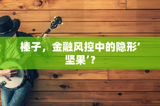 榛子，金融风控中的隐形‘坚果’？