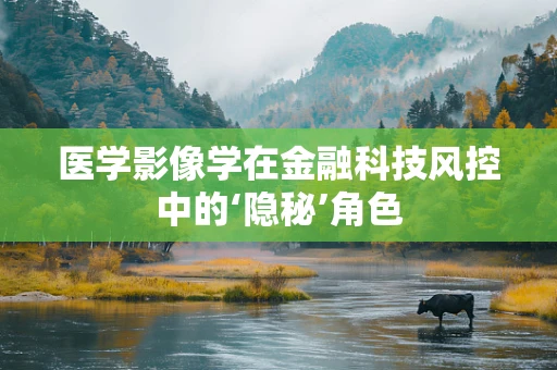 医学影像学在金融科技风控中的‘隐秘’角色