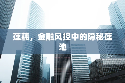 莲藕，金融风控中的隐秘莲池