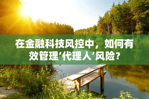 在金融科技风控中，如何有效管理‘代理人’风险？