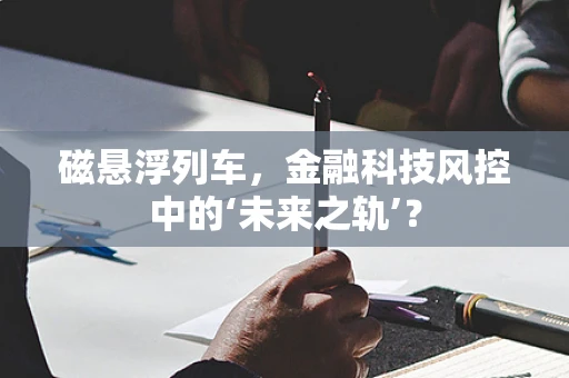 磁悬浮列车，金融科技风控中的‘未来之轨’？