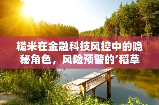 糙米在金融科技风控中的隐秘角色，风险预警的‘稻草’？