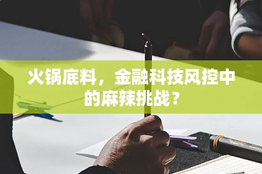 火锅底料，金融科技风控中的麻辣挑战？