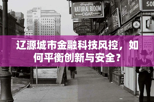 辽源城市金融科技风控，如何平衡创新与安全？