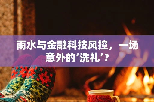 雨水与金融科技风控，一场意外的‘洗礼’？