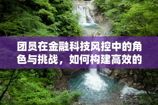 团员在金融科技风控中的角色与挑战，如何构建高效的风险控制网络？