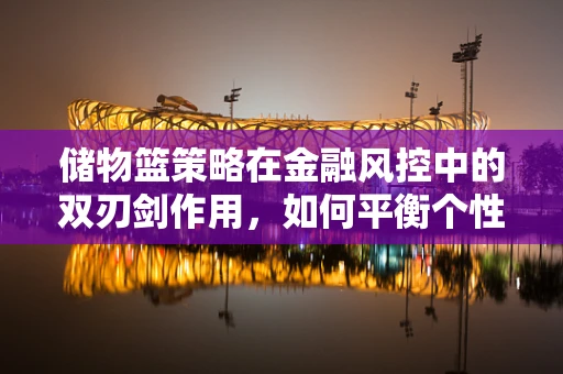 储物篮策略在金融风控中的双刃剑作用，如何平衡个性化推荐与风险控制？