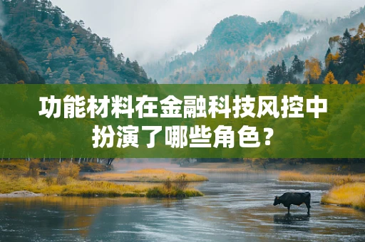 功能材料在金融科技风控中扮演了哪些角色？