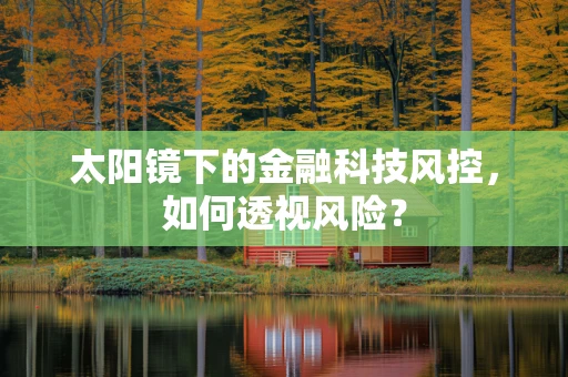 太阳镜下的金融科技风控，如何透视风险？