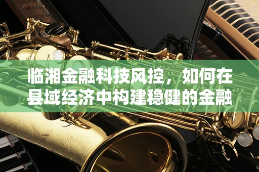 临湘金融科技风控，如何在县域经济中构建稳健的金融安全网？