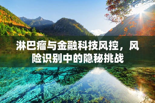 淋巴瘤与金融科技风控，风险识别中的隐秘挑战