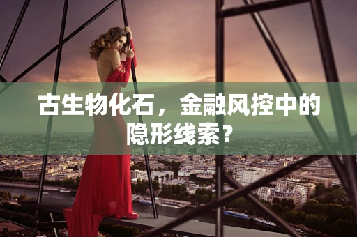 古生物化石，金融风控中的隐形线索？