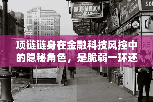 项链链身在金融科技风控中的隐秘角色，是脆弱一环还是坚强防线？
