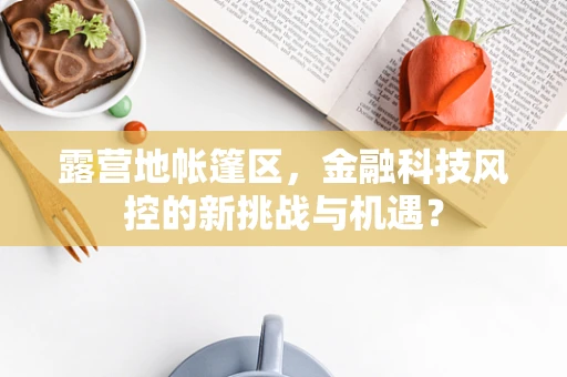 露营地帐篷区，金融科技风控的新挑战与机遇？