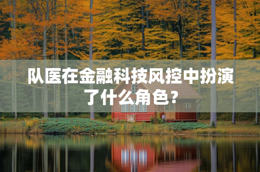 队医在金融科技风控中扮演了什么角色？