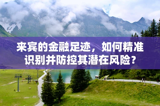 来宾的金融足迹，如何精准识别并防控其潜在风险？