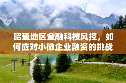 昭通地区金融科技风控，如何应对小微企业融资的挑战？
