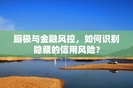 蹦极与金融风控，如何识别隐藏的信用风险？