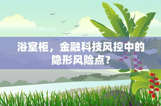 浴室柜，金融科技风控中的隐形风险点？