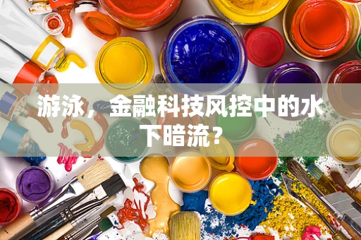 游泳，金融科技风控中的水下暗流？